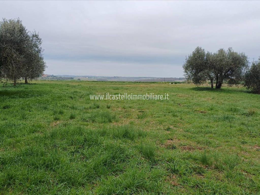 Villa a Castiglione del lago in Località Ranciano Basso - Foto 4