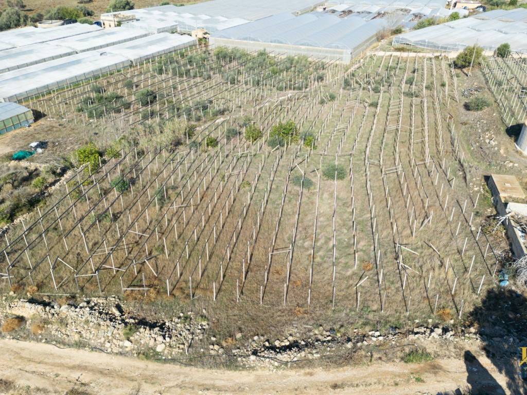 Terreno a Santa croce camerina in Contrada Sughero - Foto 4