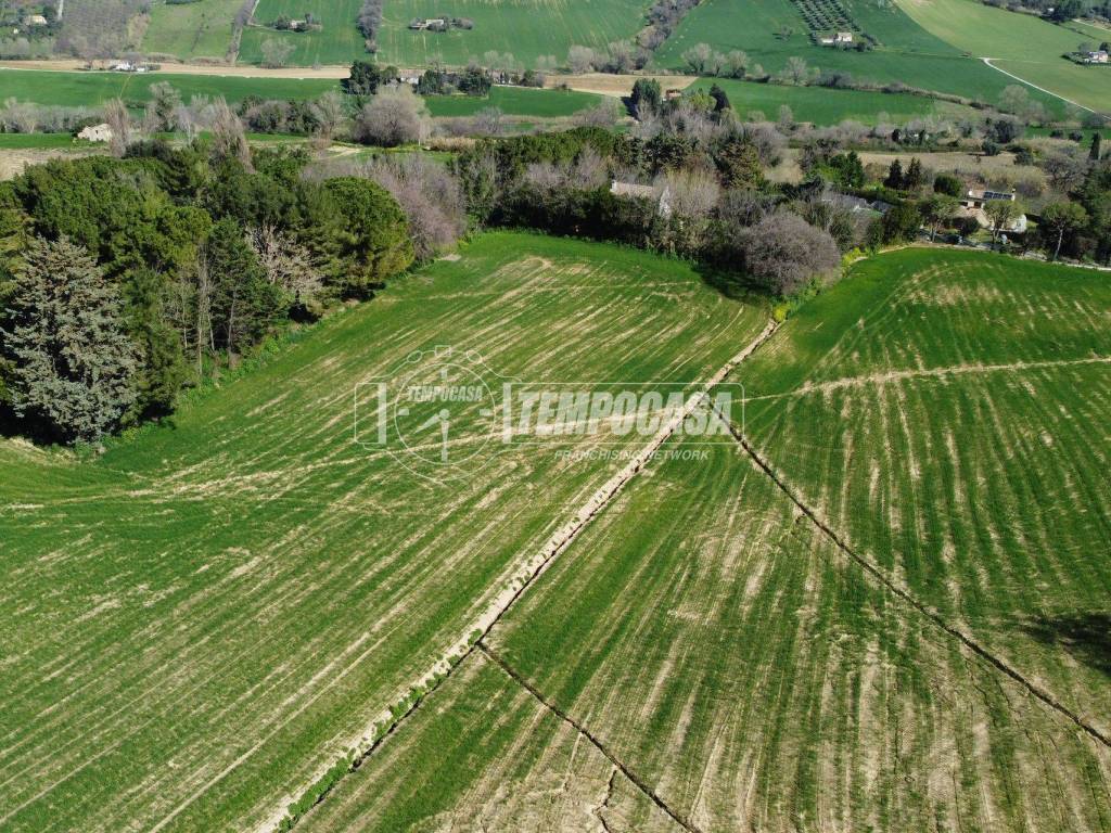 Terreno a Osimo - Foto 3
