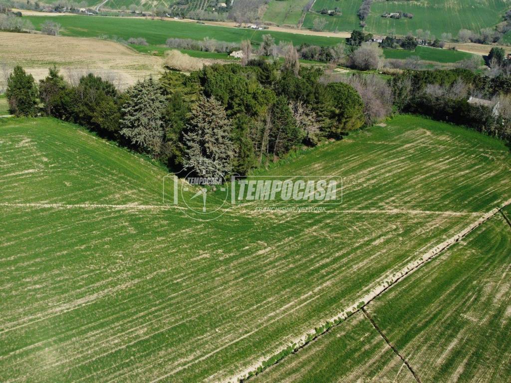 Terreno a Osimo - Foto 5
