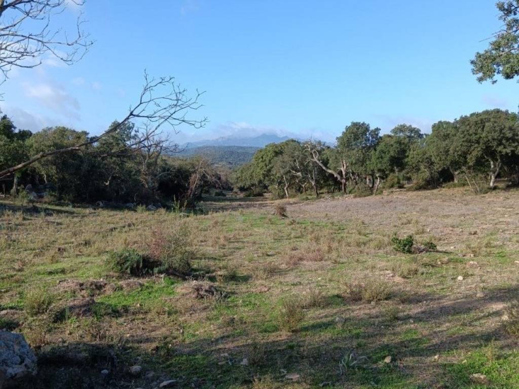 Terreno a Telti in Località Li Furreddi - Foto 2