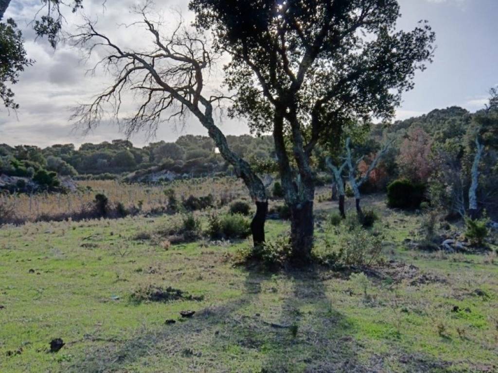 Terreno a Telti in Località Li Furreddi - Foto 3