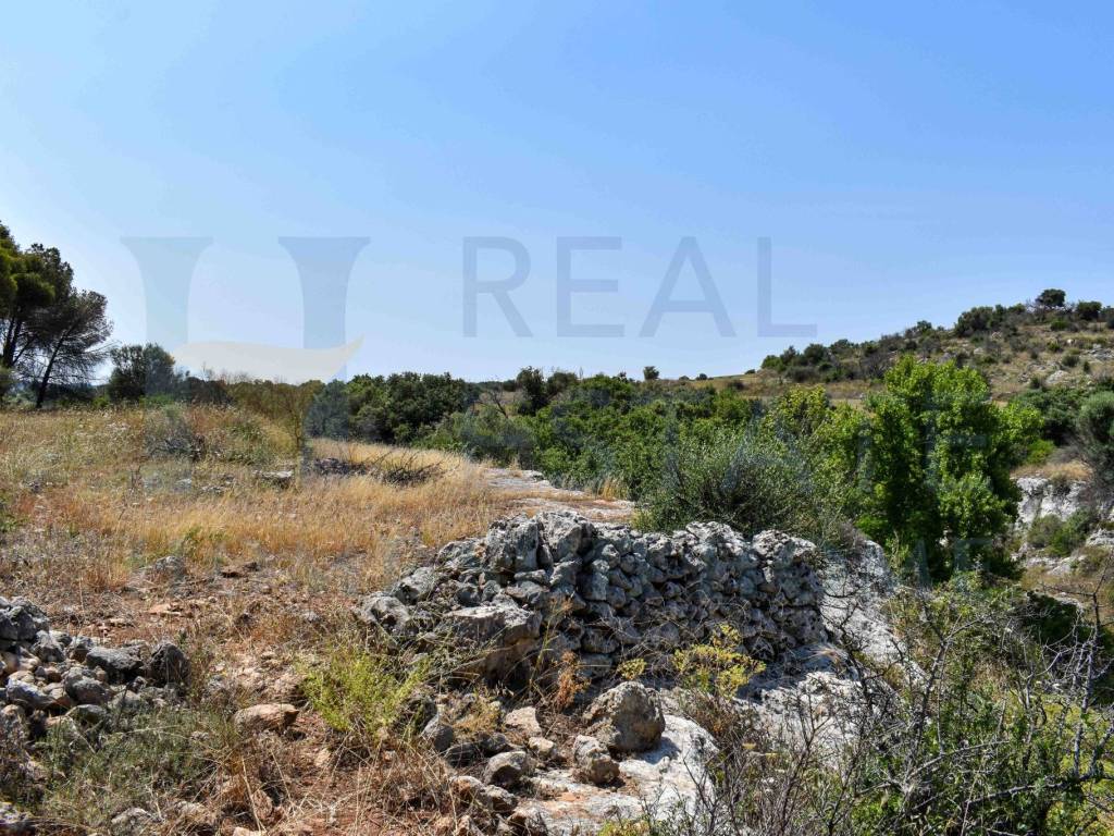 Rustico / casale a Noto in Via Tommaso Fazello, 228 - Foto 3