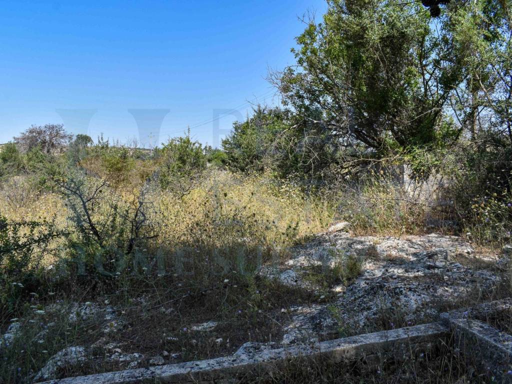 Rustico / casale a Noto in Via Tommaso Fazello, 228 - Foto 4