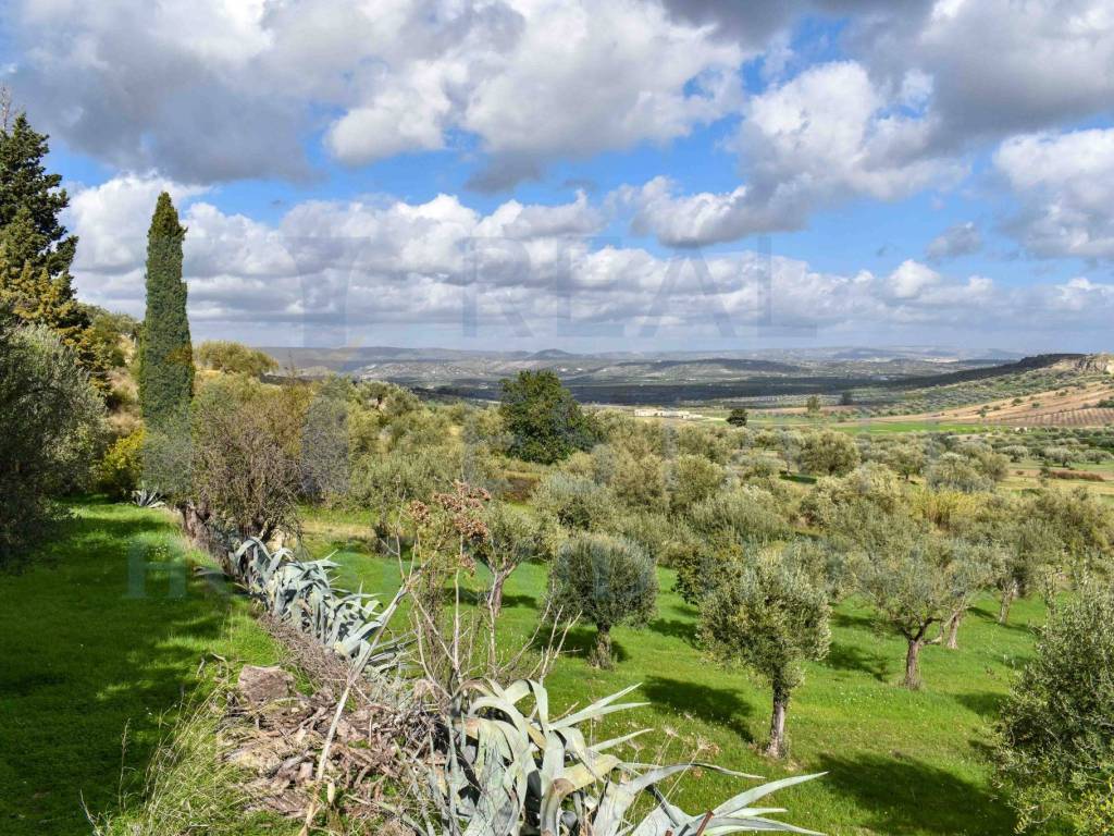 Terreno a Noto in Via Tommaso Fazello, 228 - Foto 2