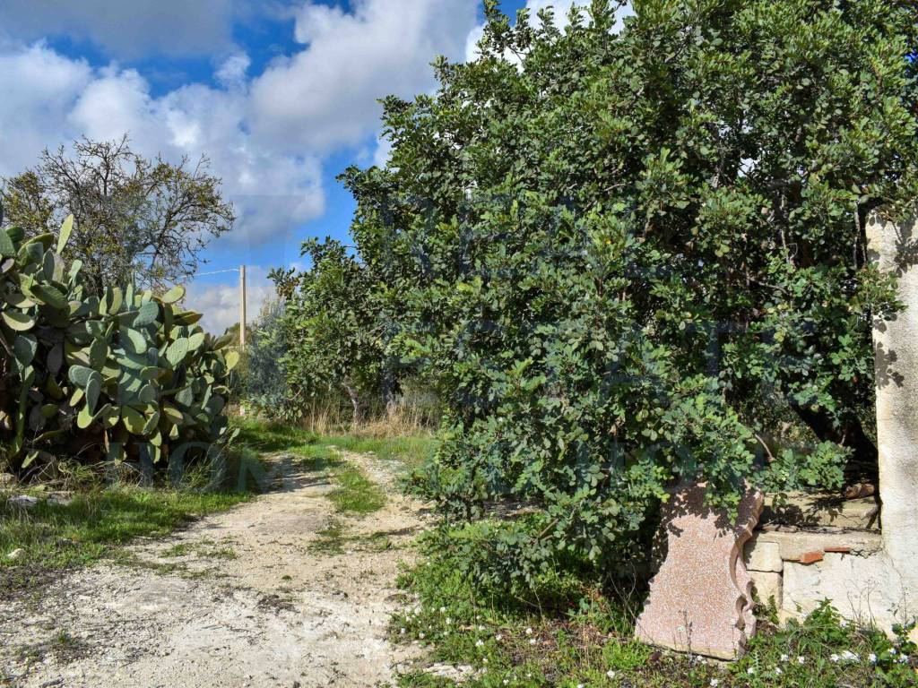 Terreno a Noto in Via Tommaso Fazello, 228 - Foto 5