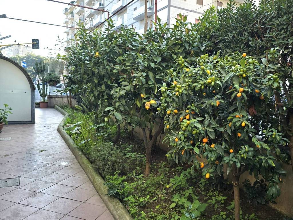 Appartamento a Bari in Viale Antonio Meucci - Foto 5