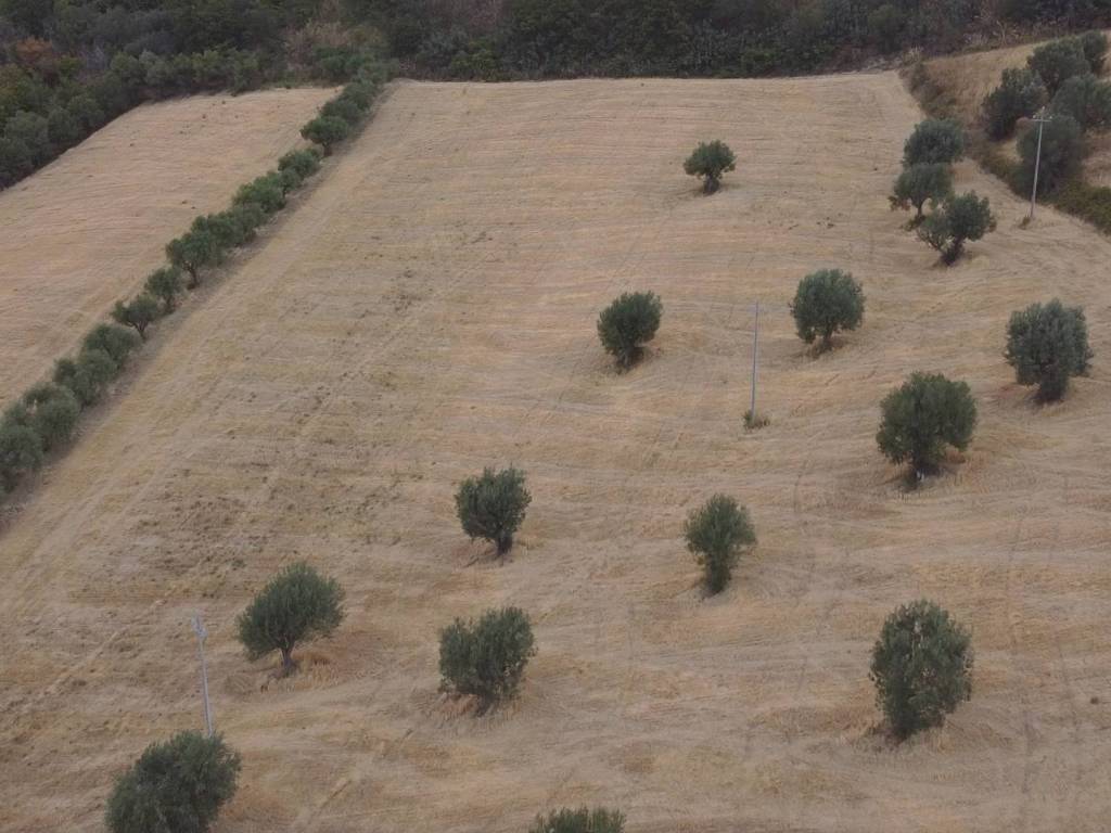 Terreno a Massignano in Contrada San Pietro - Foto 2