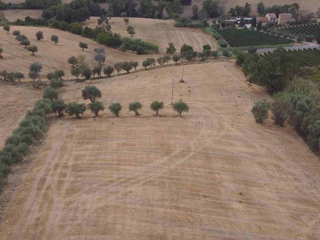 Terreno a Massignano in Contrada San Pietro - Foto 3