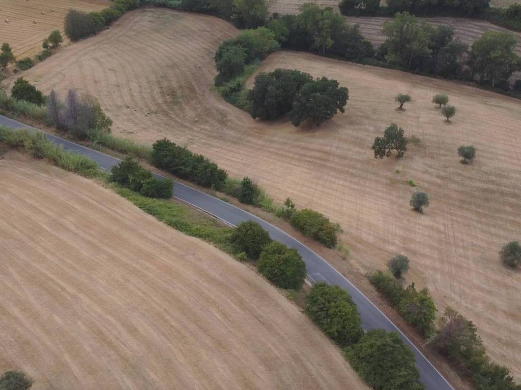 Terreno a Massignano in Contrada San Pietro - Foto 4