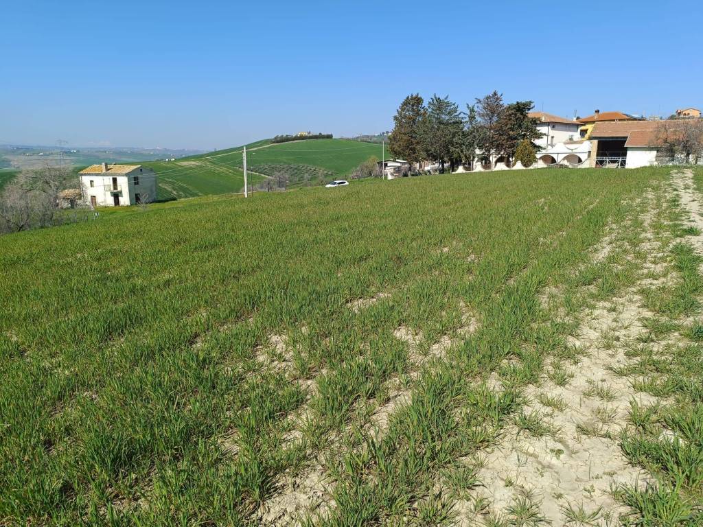 Terreno a Castel frentano in Via Colle dell'Aia - Foto 3