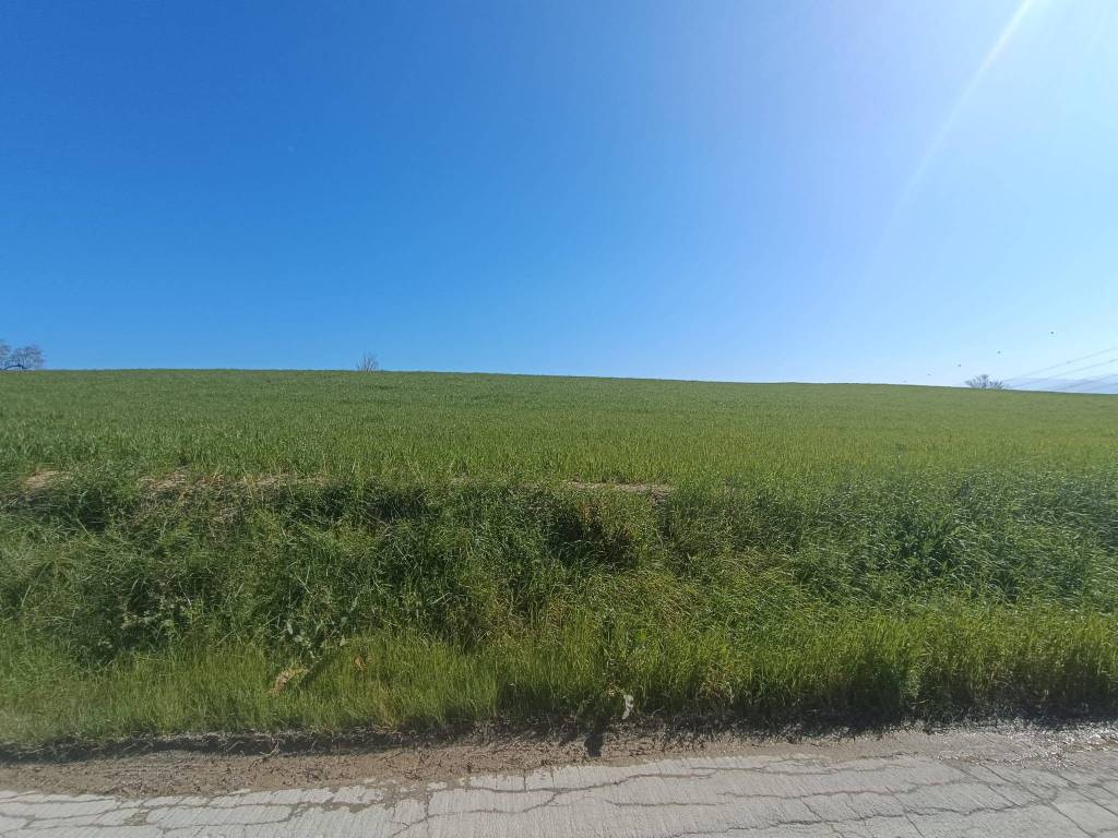 Terreno a Castel frentano in Via Colle dell'Aia - Foto 4