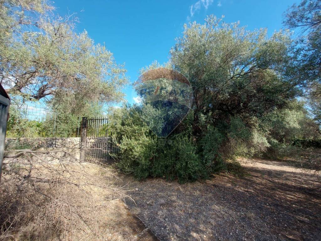 Terreno a Priolo gargallo - Foto 5