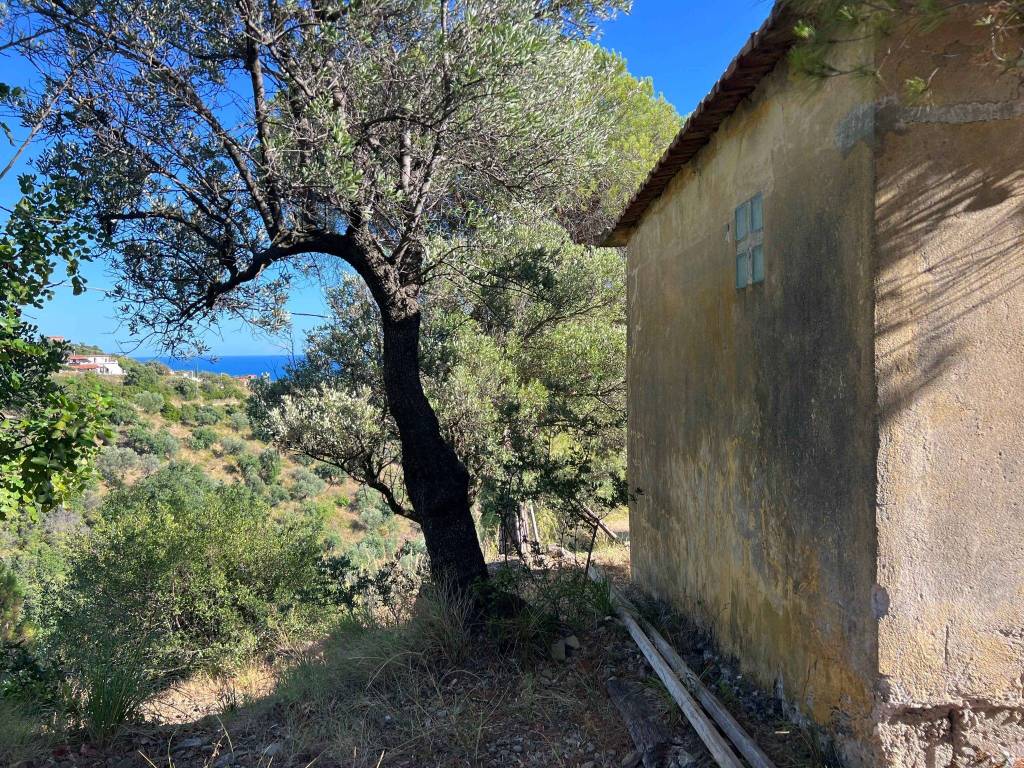 Rustico / casale a Pollica in SP48 - Foto 3