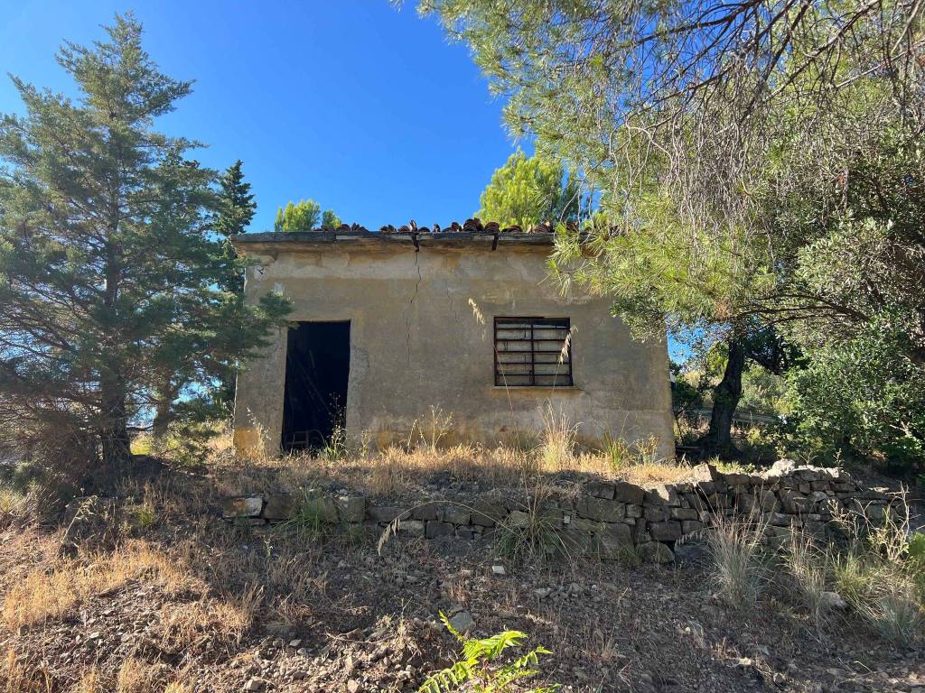 Rustico / casale a Pollica in SP48 - Foto 5