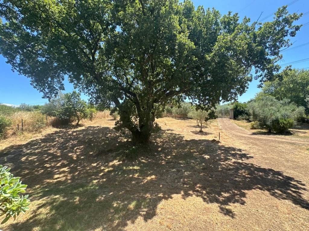 Villa a Monterosi in Via Giuseppe Belloni - Foto 2