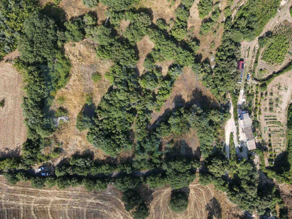 Rustico / casale a Noto in Via Tommaso Fazello, 228 - Foto 2