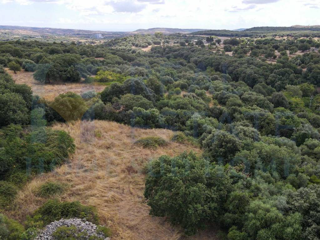 Rustico / casale a Noto in Via Tommaso Fazello, 228 - Foto 3