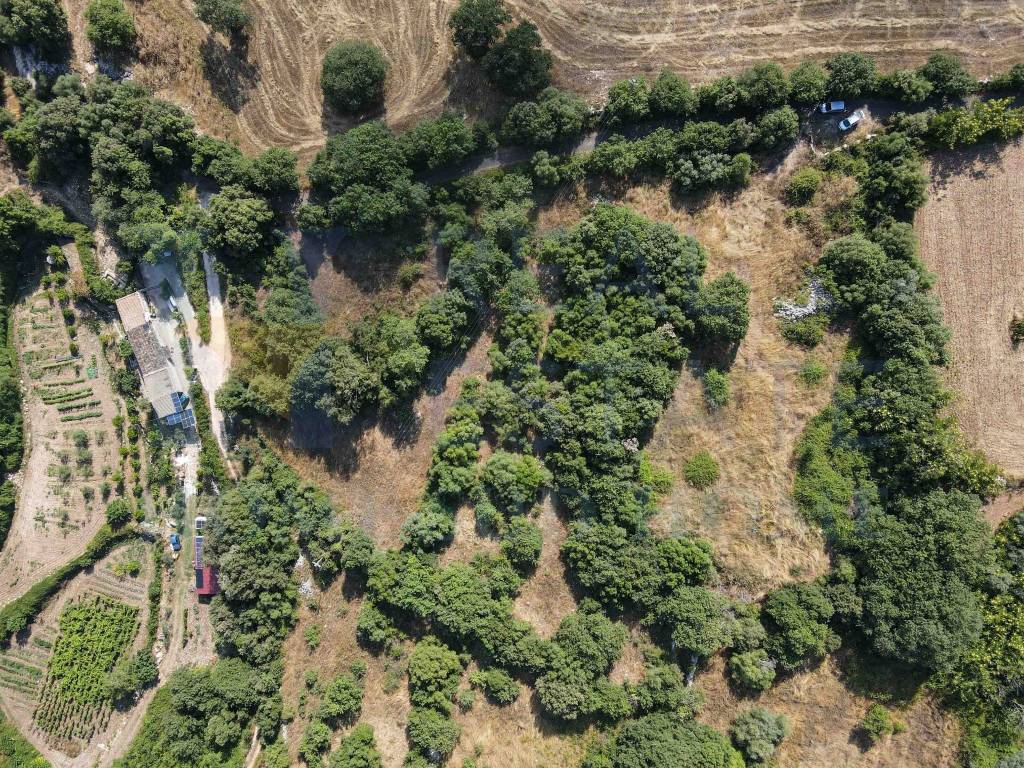 Rustico / casale a Noto in Via Tommaso Fazello, 228 - Foto 4