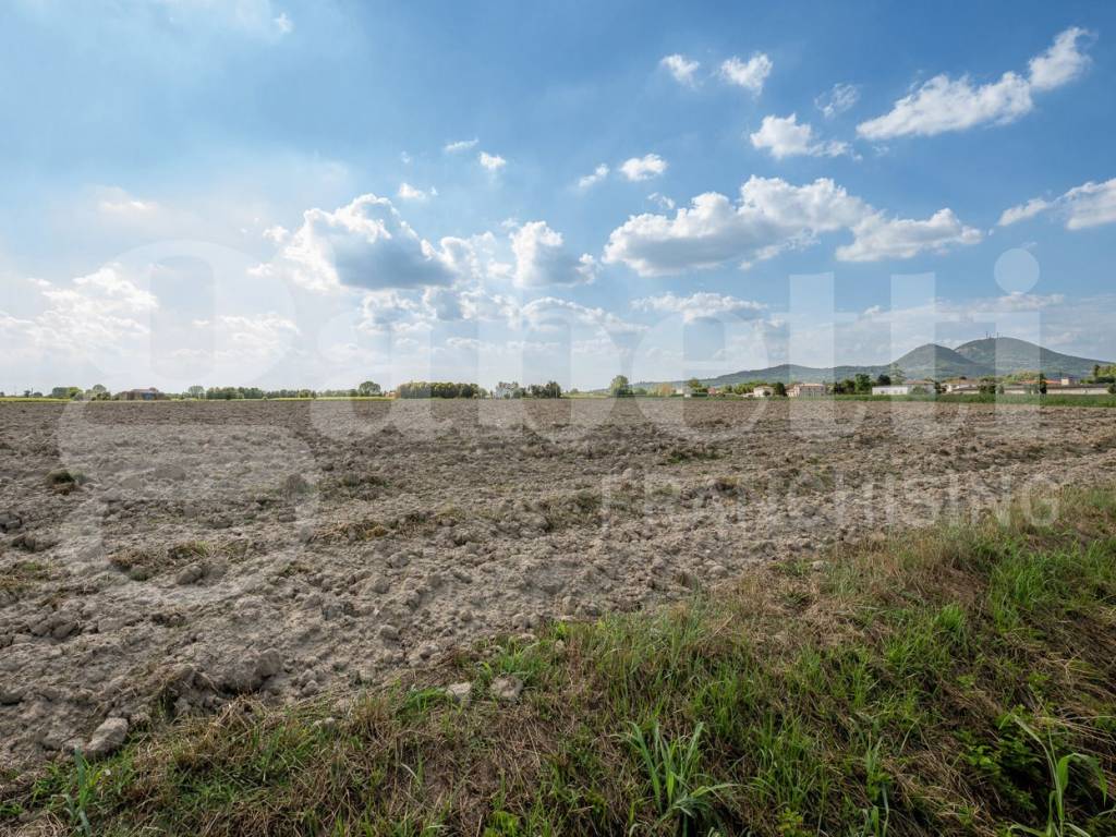 Terreno a Este in Via Cortona, 5 - Foto 3