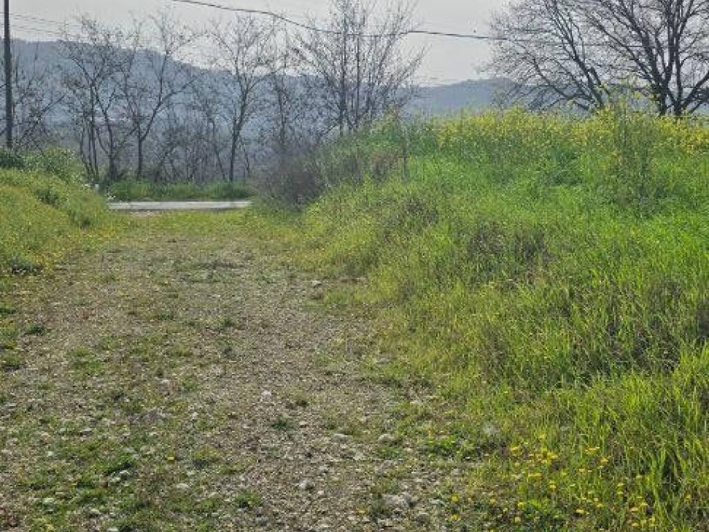 Terreno a Cepagatti in Via Cantò - Foto 3