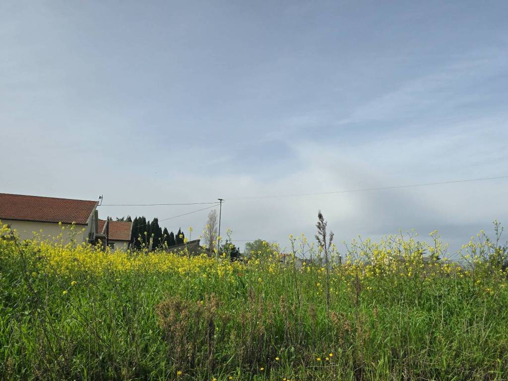 Terreno a Cepagatti in Via Cantò - Foto 4