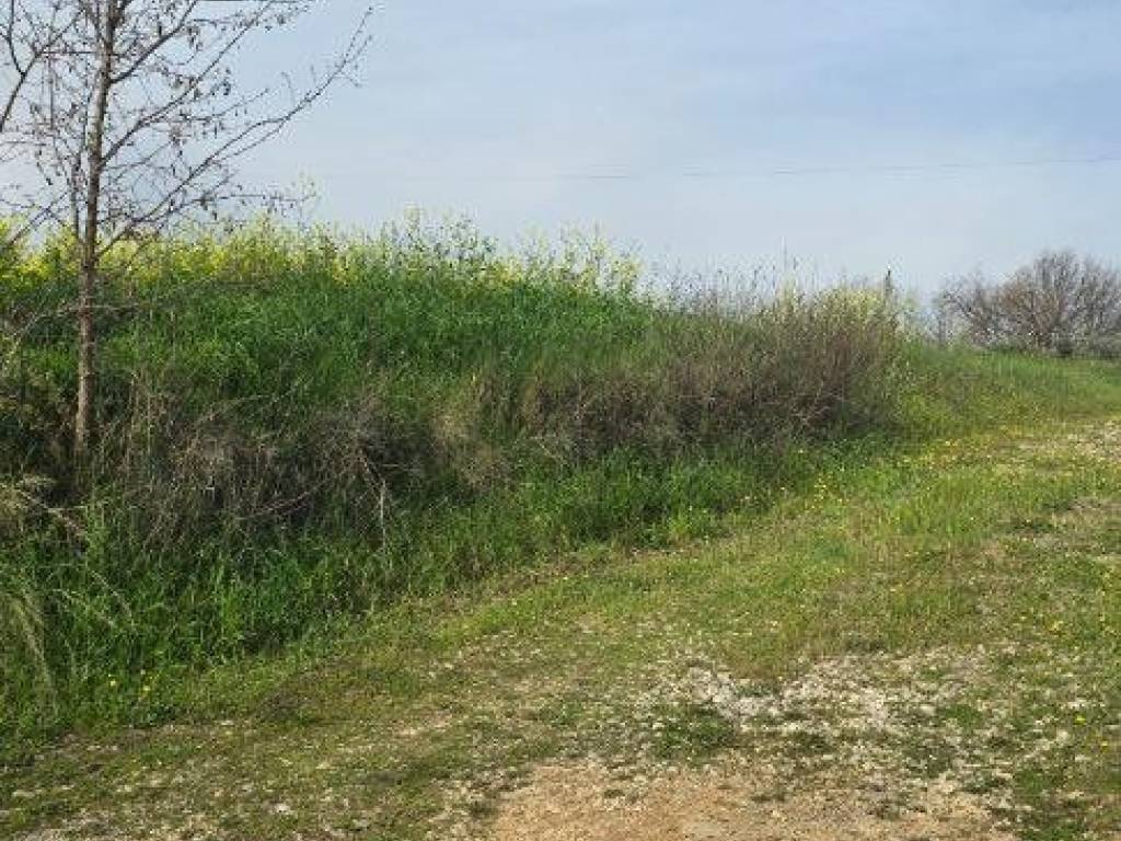 Terreno a Cepagatti in Via Cantò - Foto 5