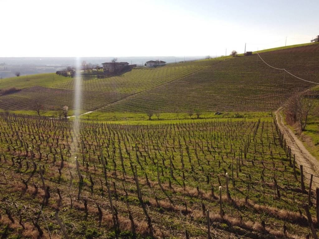 Terreno a Dogliani in Borgata San Luigi - Foto 2