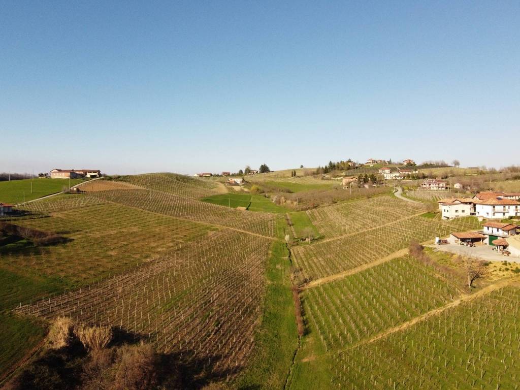 Terreno a Dogliani in Borgata San Luigi - Foto 4