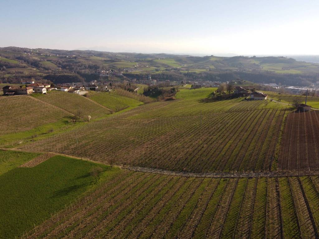 Terreno a Dogliani in Borgata San Luigi - Foto 5