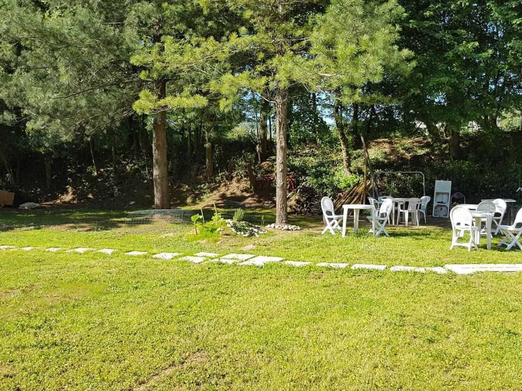 Terreno a Camaiore - Foto 3
