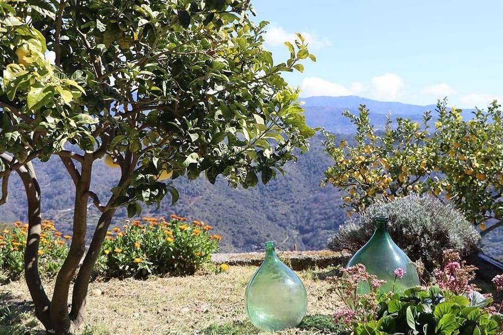 Villa a Camporosso - Foto 4