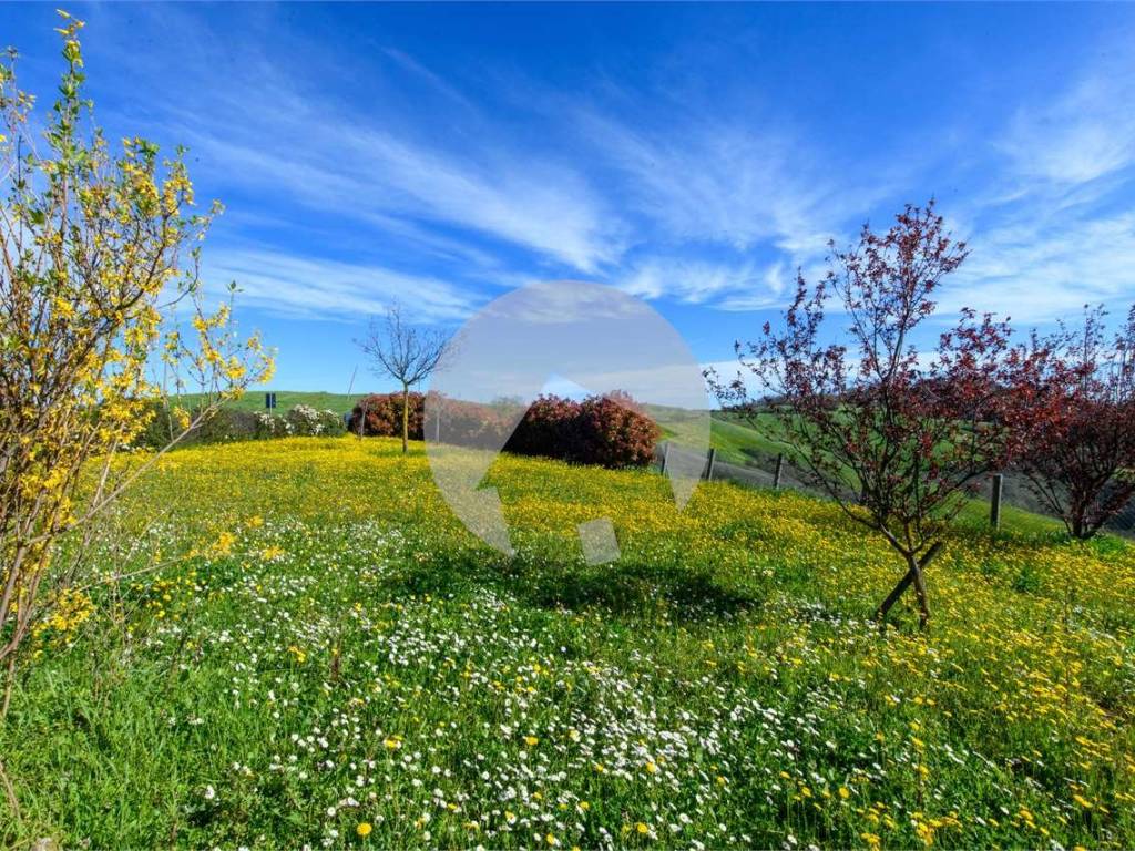 Rustico / casale a Canossa in Castello di Canossa, 54 - Foto 4
