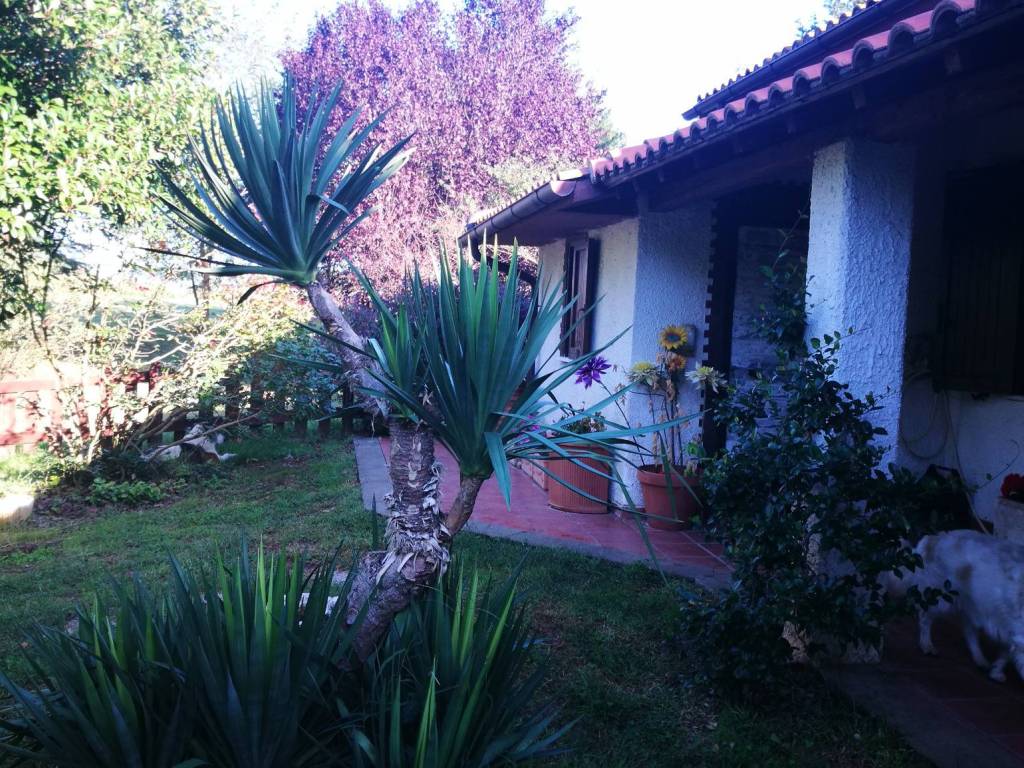 Villa a Vetralla - Foto 2
