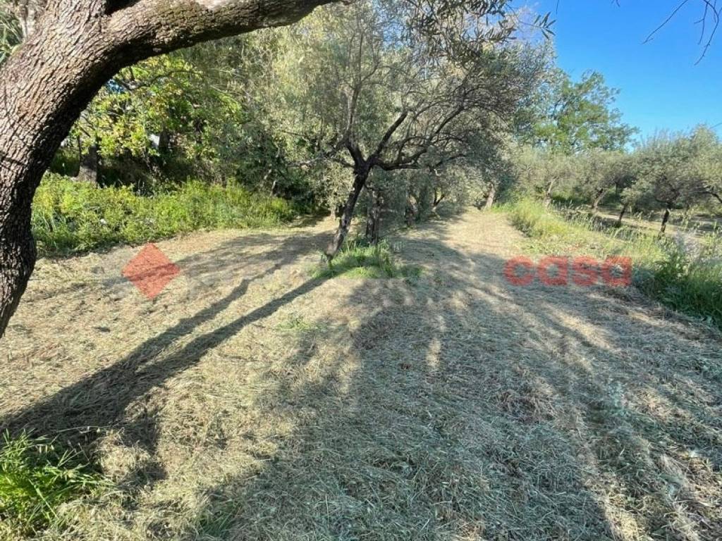 Terreno a Formia in Via Fosso Castaldi , 25 - Foto 2