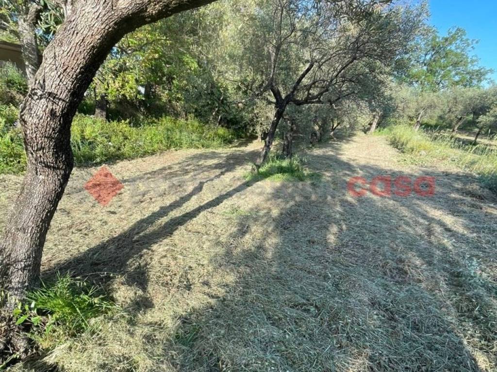 Terreno a Formia in Via Fosso Castaldi , 25 - Foto 3