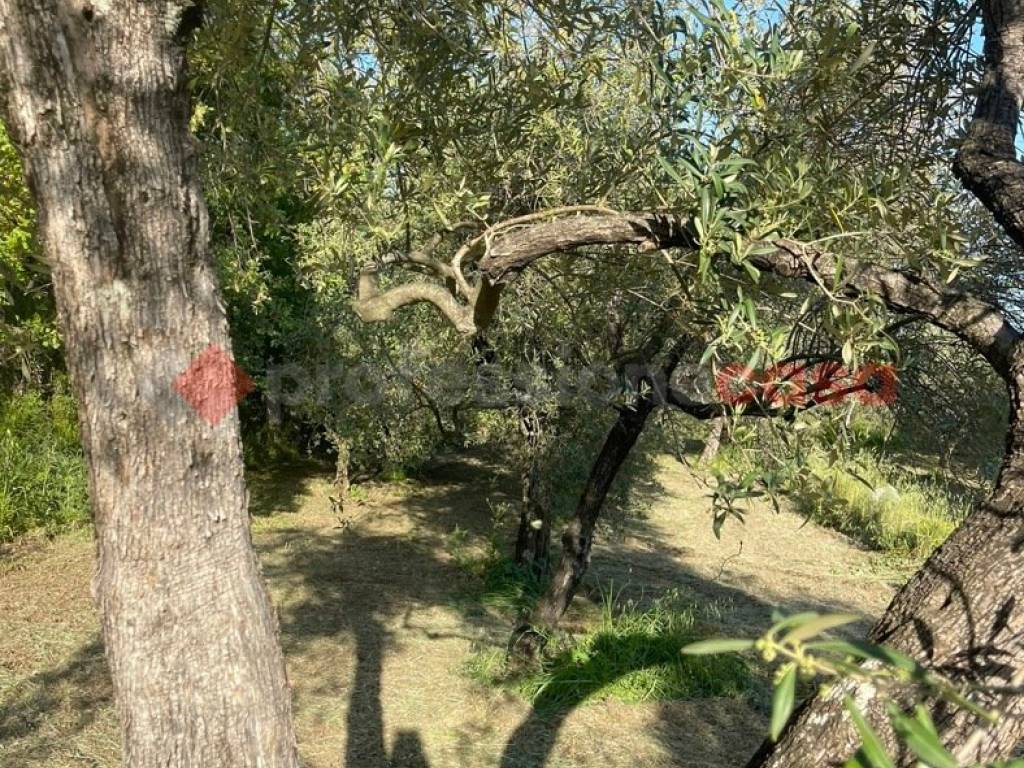 Terreno a Formia in Via Fosso Castaldi , 25 - Foto 5