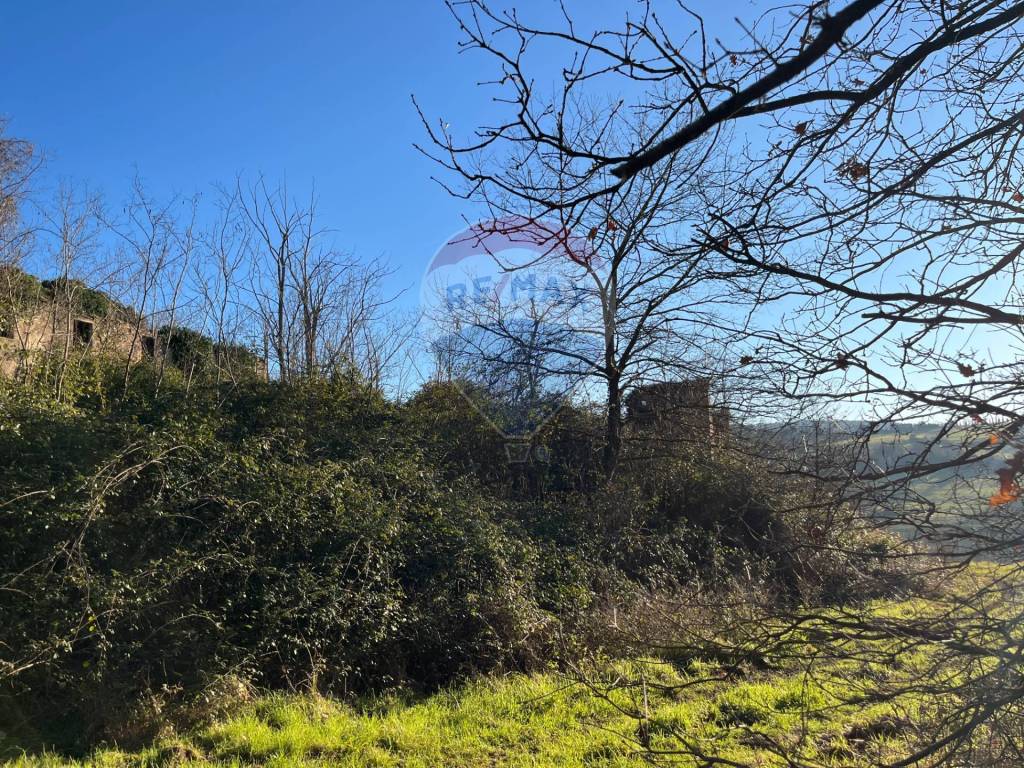 Rustico / casale a San gimignano in Località LUCIGNANO, 72 - Foto 4