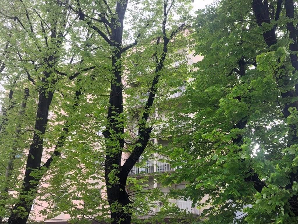 Appartamento a Busto arsizio in Via Luigi Maino, 2 - Foto 2