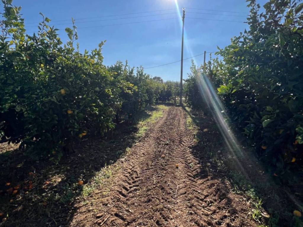 Terreno a Fondi in Via Fontanelle S. Marco - Foto 3