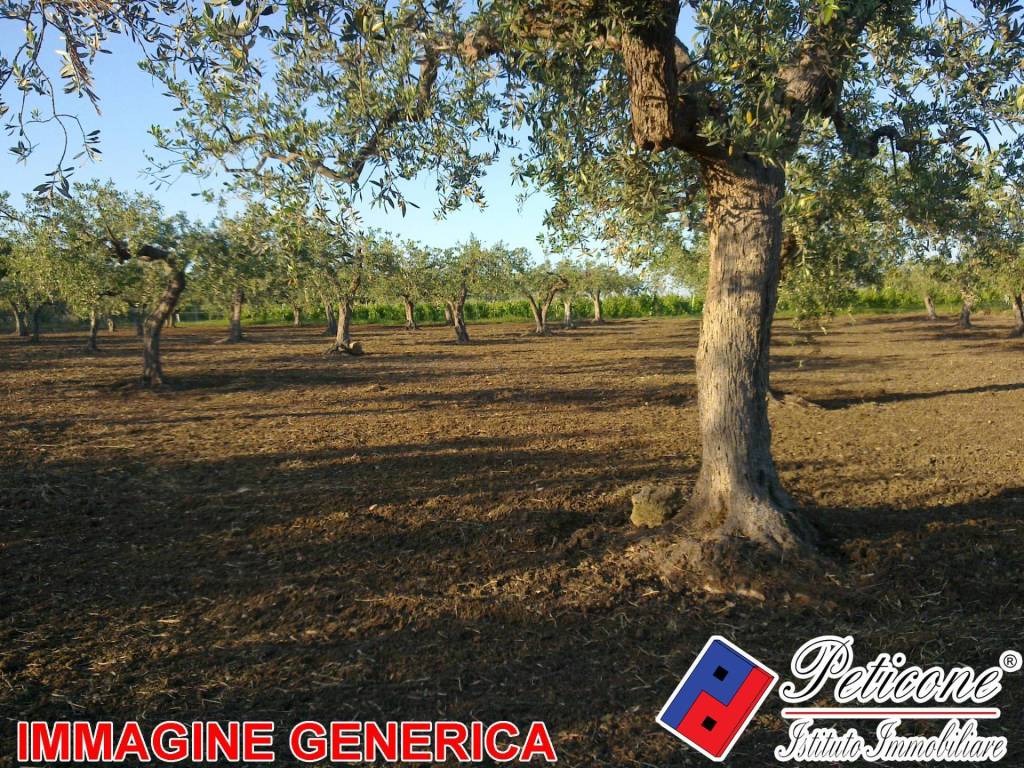 Terreno a Lenola in VALLE BERNARDO - Foto 2