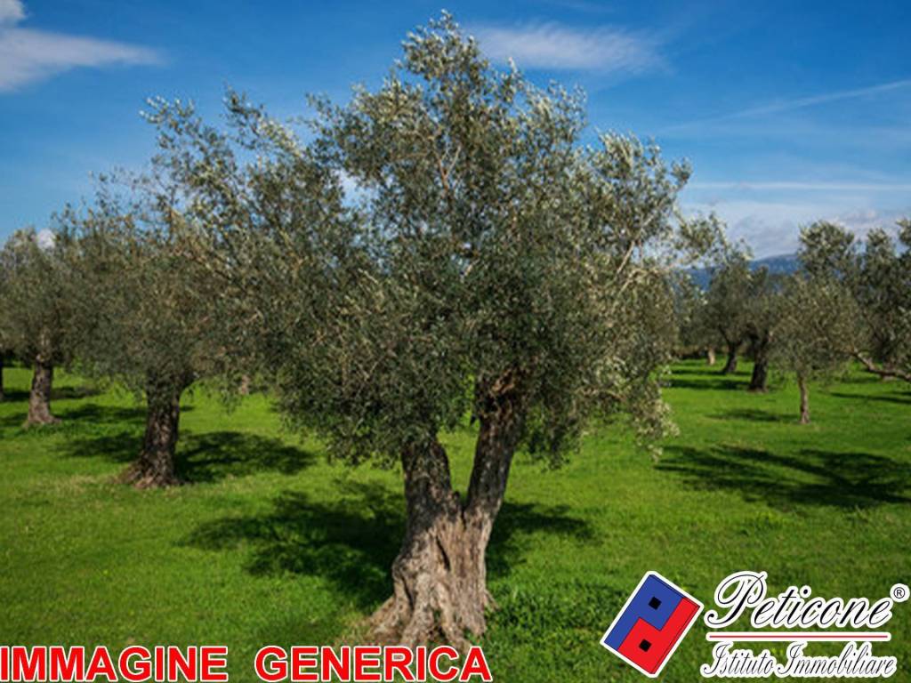 Terreno a Lenola in VALLE BERNARDO - Foto 3