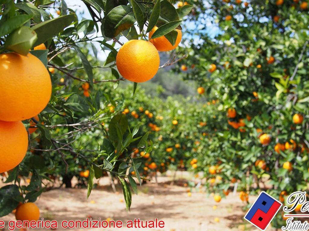 Terreno a Fondi in VIA CESULO - Foto 2