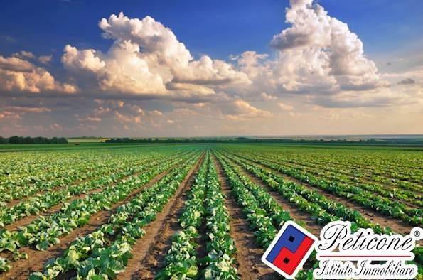 Terreno a Fondi in Via Sant'Anastasia - Foto 2