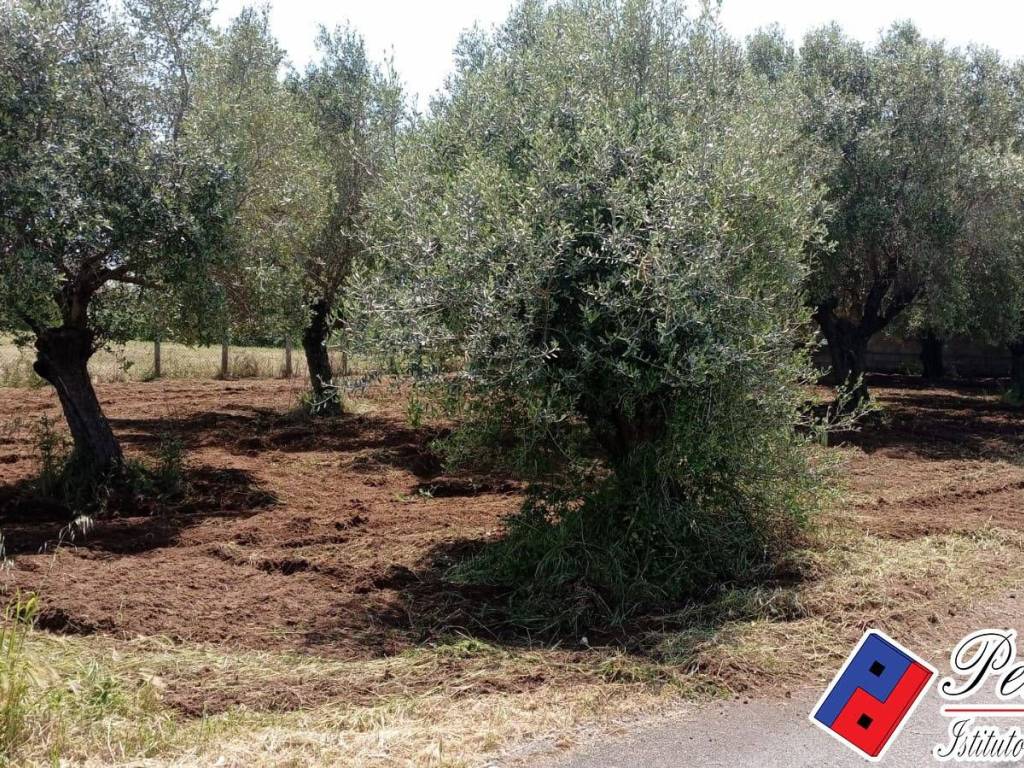 Terreno a Fondi in Via s.Anastasia - Foto 2