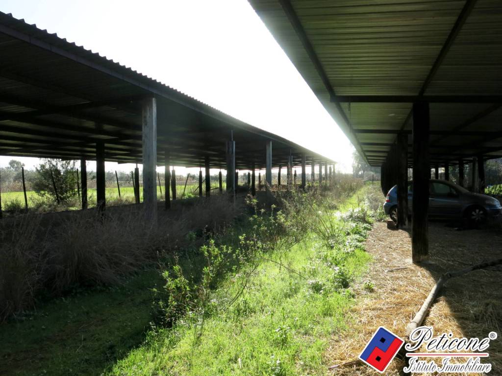 Terreno a Monte san biagio in Via Orione - Foto 2