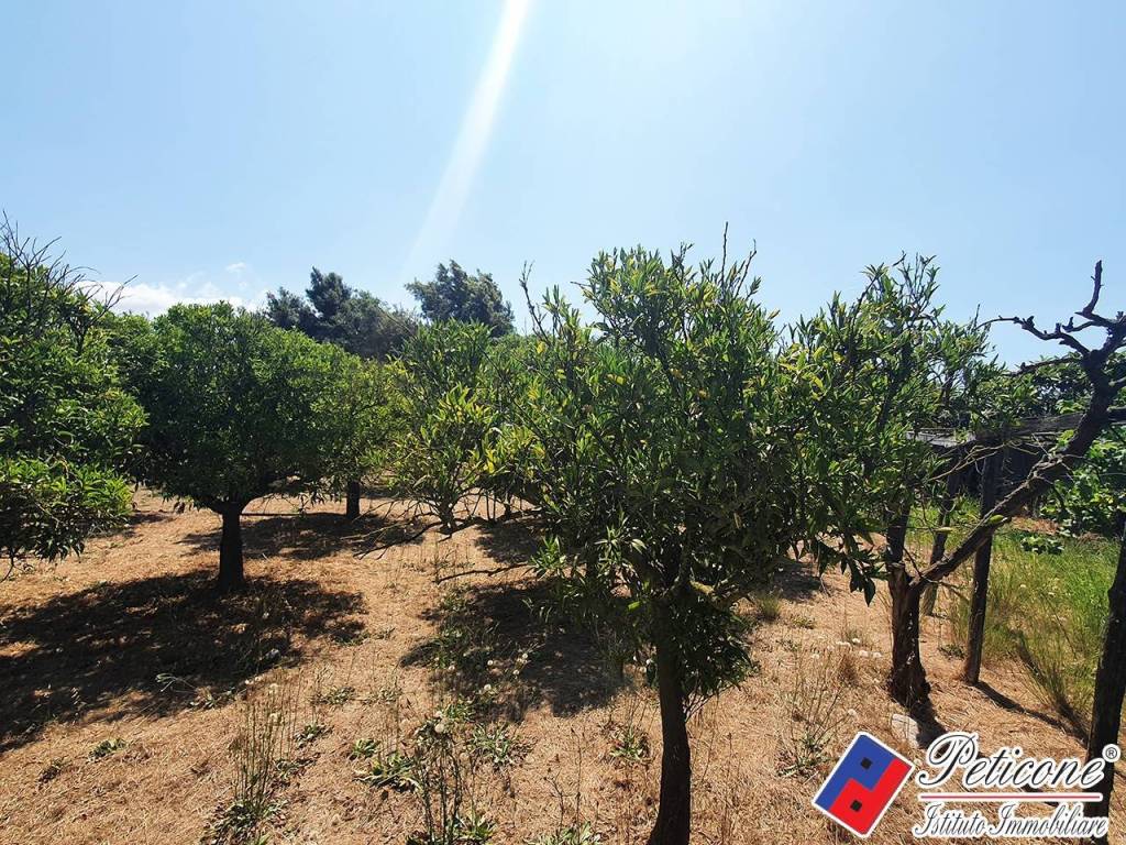 Terreno a Fondi in Via Guado III, 22 - Foto 2