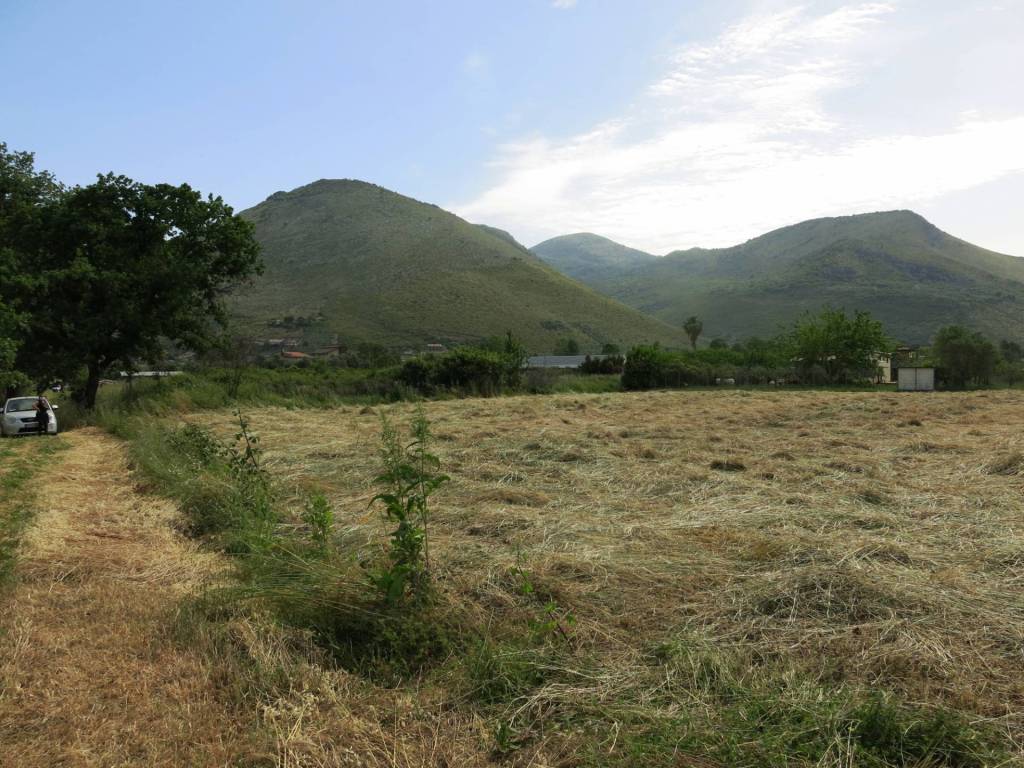 Terreno a Fondi in Via Casoni - Foto 4