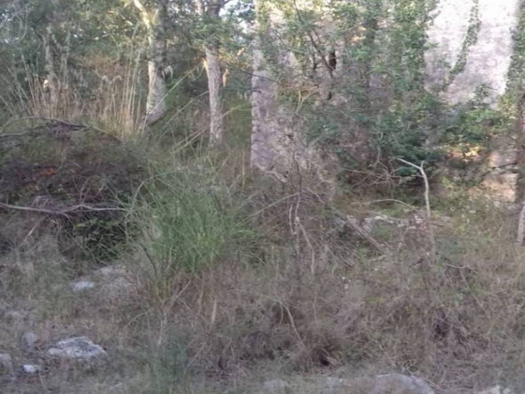 Terreno a Itri in S. Marco - Foto 3