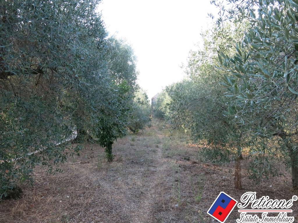 Villa a Fondi in Via Valmaiura, 12 - Foto 3